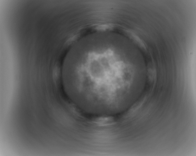 X0000113940375200910021307