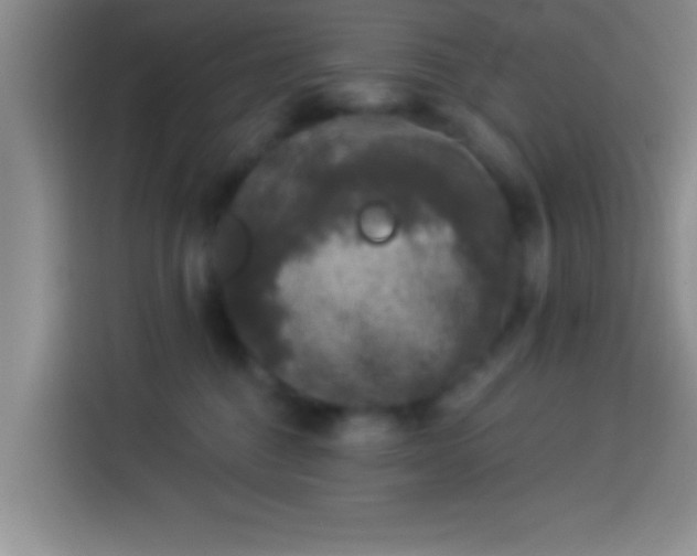 X0000113940376200910021307