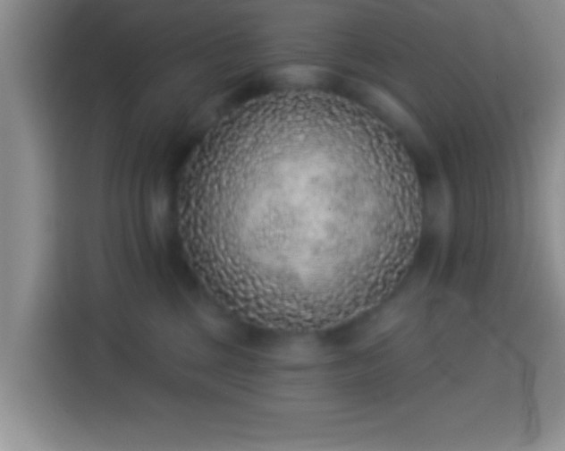 X0000113940377200910021307