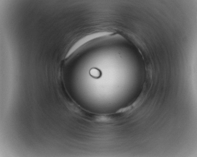 X0000113940380200910021307