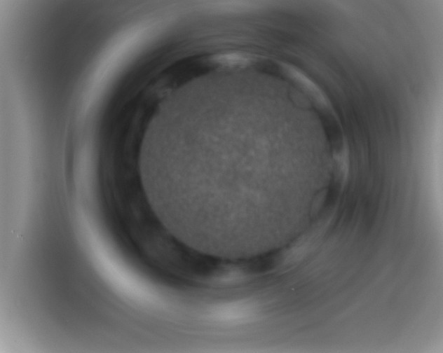 X0000113940381200910021307