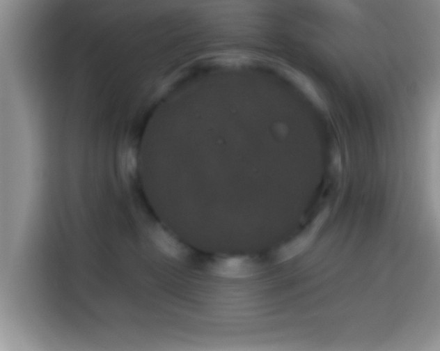 X0000113940382200910021307