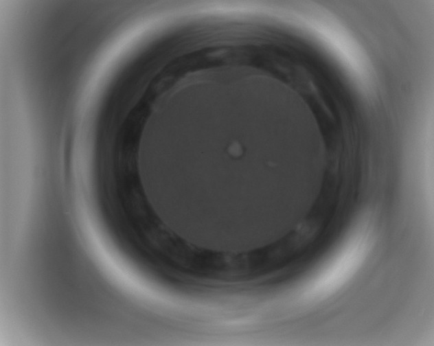 X0000113940383200910021307