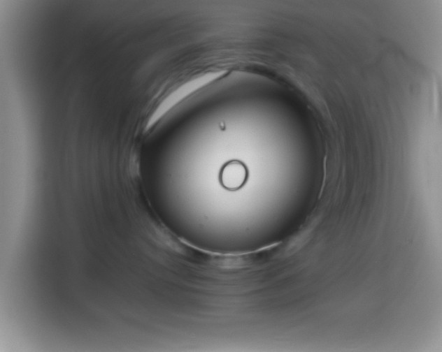 X0000113940384200910021307