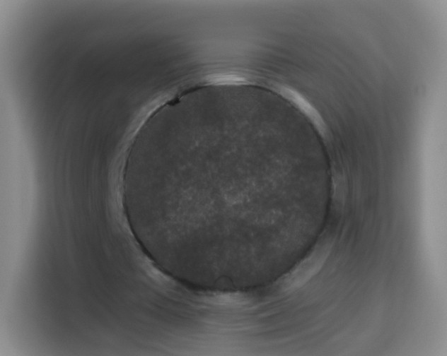 X0000113940385200910021307