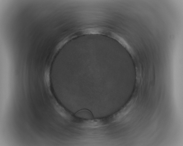 X0000113940386200910021307