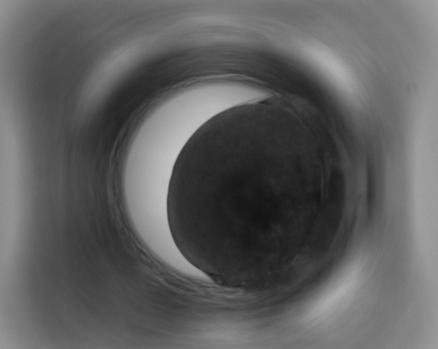 X0000113940387200910021307