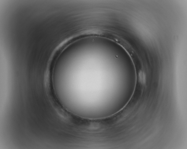 X0000113940388200910021307