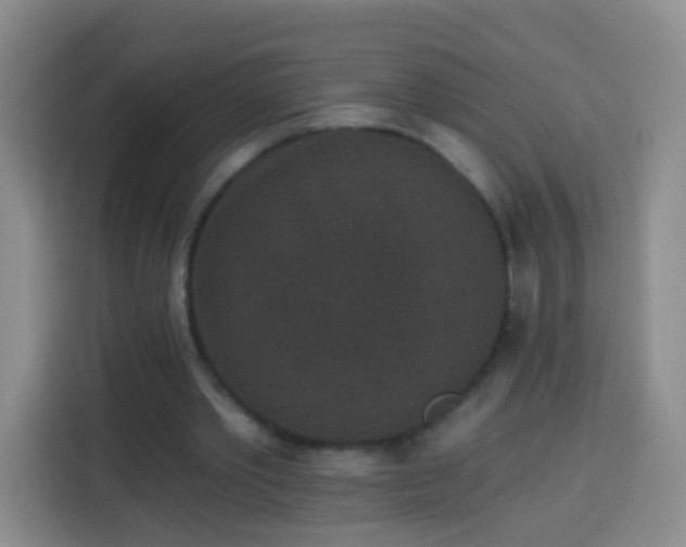 X0000113940389200910021307