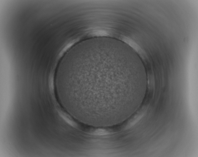 X0000113940390200910021307