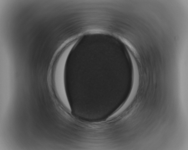 X0000113940391200910021307