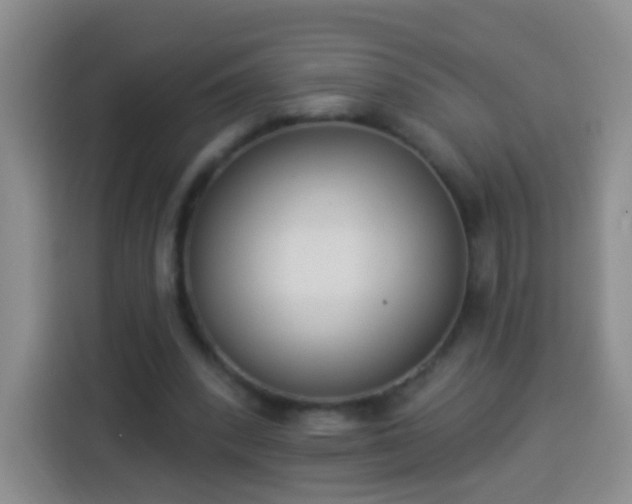 X0000113940392200910021306