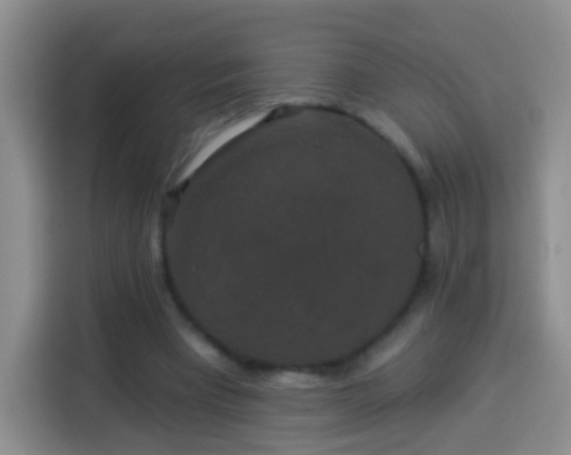 X0000113940393200910021306