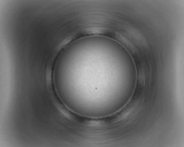 X0000113940394200910021306