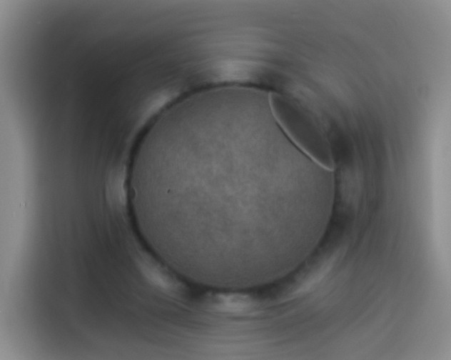 X0000113940395200910021306