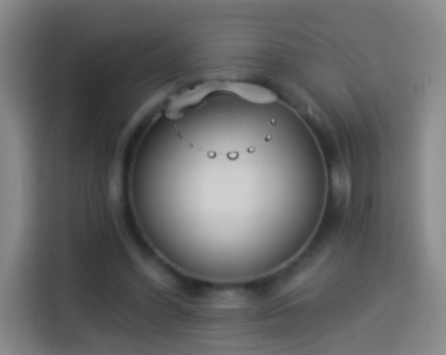 X0000113940396200910021306