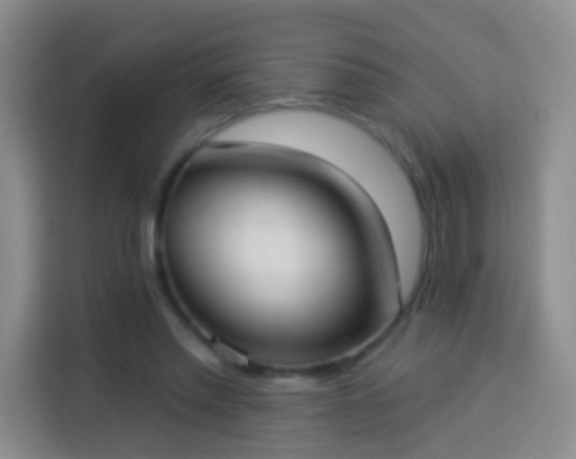 X0000113940397200910021306