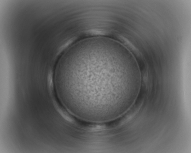 X0000113940398200910021306