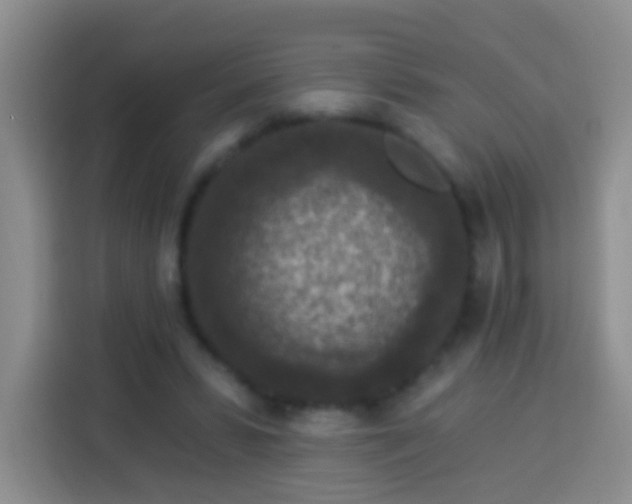 X0000113940399200910021306