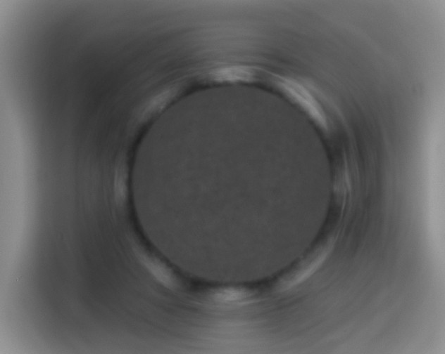 X0000113940402200910021306