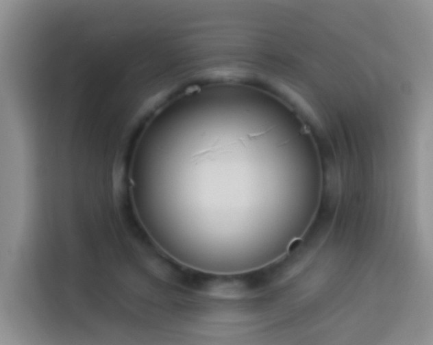 X0000113940403200910021306