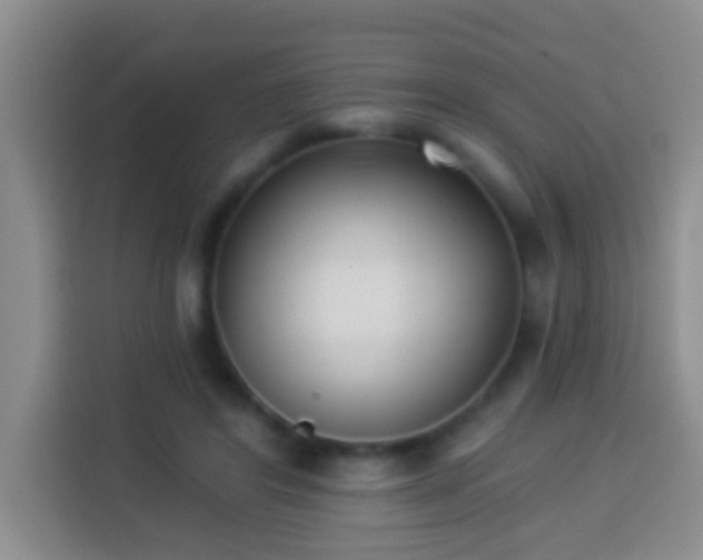 X0000113940404200910021306