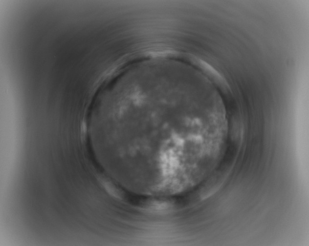 X0000113940405200910021306