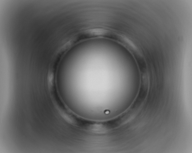 X0000113940406200910021306