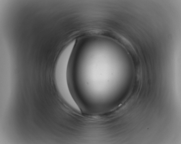 X0000113940409200910021306