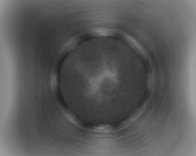 X0000113940410200910021306