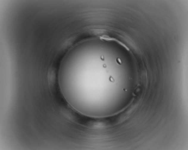 X0000113940412200910021306