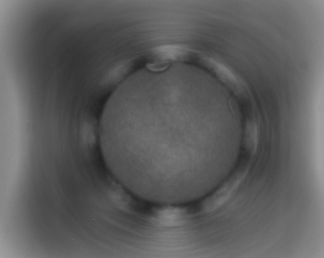 X0000113940413200910021306