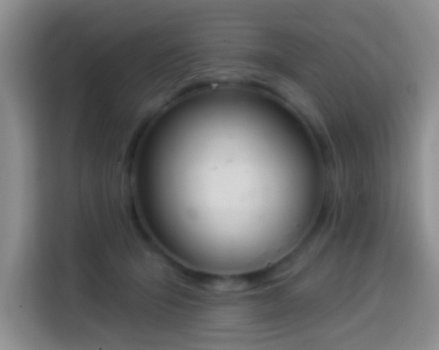 X0000113940415200910021306