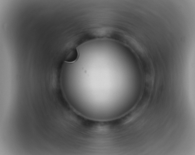 X0000113940416200910021306