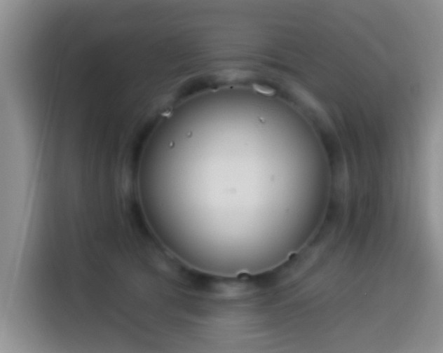 X0000113940417200910021306