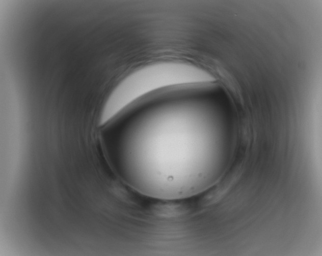 X0000113940419200910021306