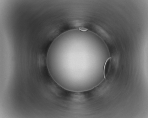 X0000113940421200910021306