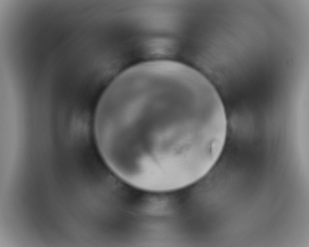 X0000113940423200910021306