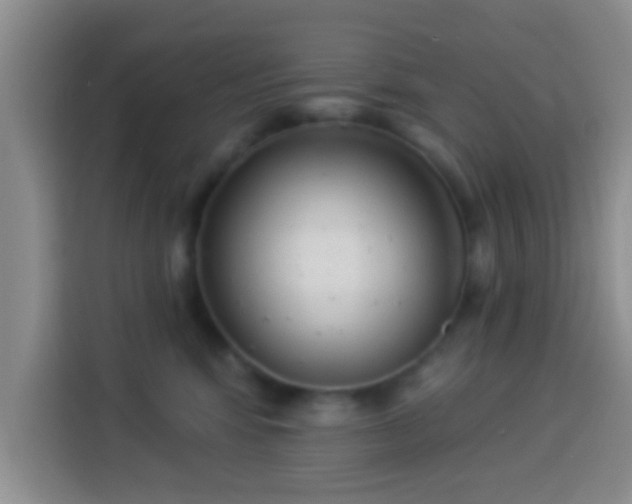 X0000113940424200910021306