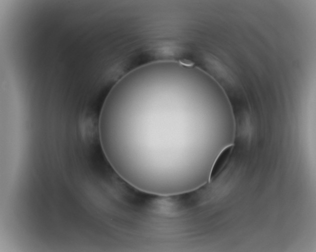 X0000113940425200910021306