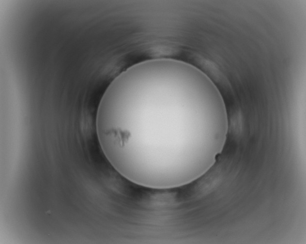 X0000113940426200910021306