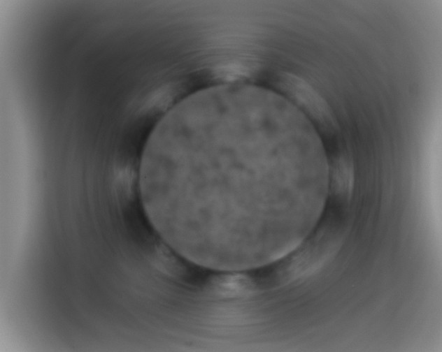 X0000113940427200910021306