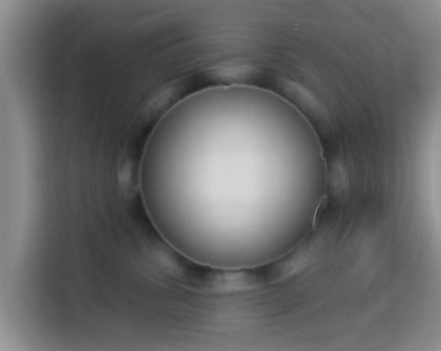 X0000113940428200910021306