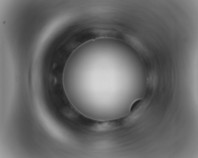 X0000113940430200910021306