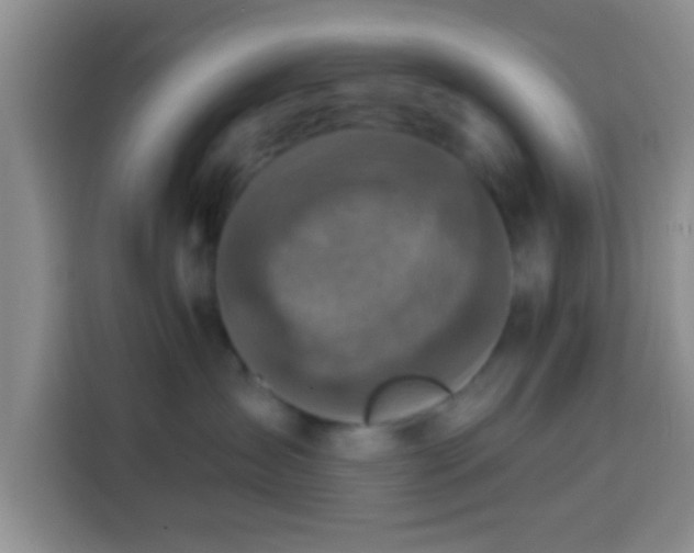 X0000113940431200910021306