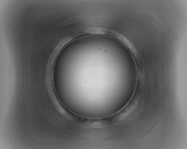 X0000113940433200910021305