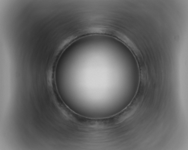 X0000113940434200910021305