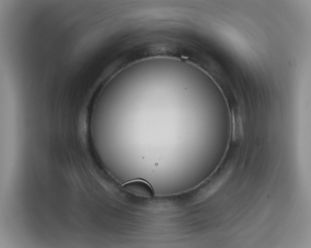 X0000113940435200910021305