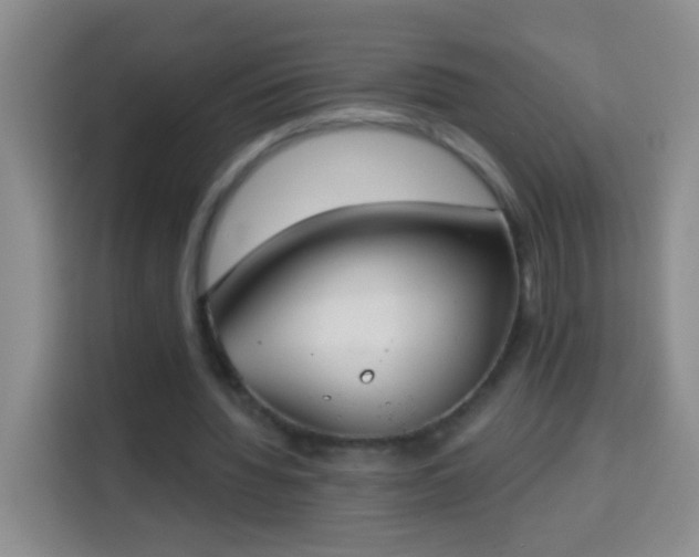 X0000113940436200910021305