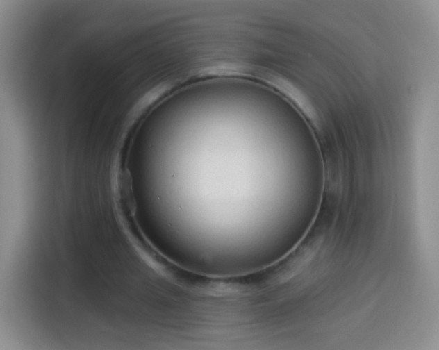 X0000113940437200910021305